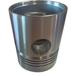 PISTON Kit D2500 (without segments)