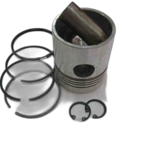 PISTON Kit D2500 (with segments)