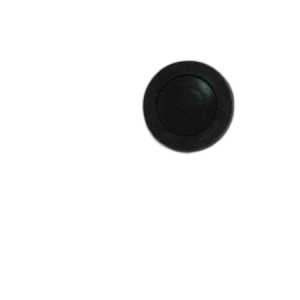 HORN BUTTON