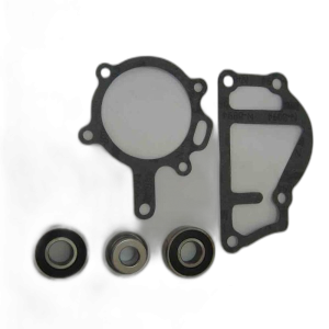 Sealing Kit For Water Pump D3900