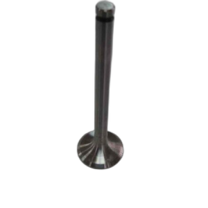 EXHAUST VALVE D2500