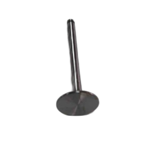 Intake valve D3900 /31431641