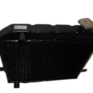 RADIATOR VODEN-PLEVENKA V31276121 8 484226